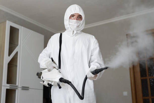 Mold Remediation for Rental Properties in Winchester, IL